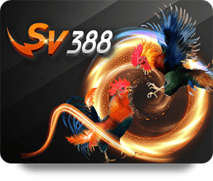 12BET Cá Cược Pro Mobile Betting Experience
